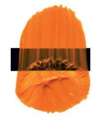 Indian yellow
