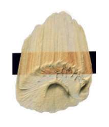 Orange interférence - N/A