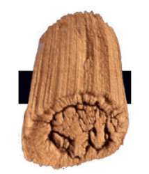 Cuivre iridescent - N/A