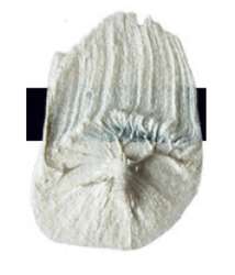 Perle interférence - N/A