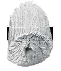 Miroir liquide - N/A