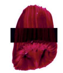 Rouge quinacridone - PV19