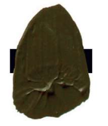 Raw umber