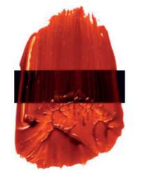 Orange transparent perm - PO71