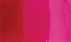 Fuschia