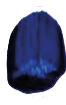 Bleu outremer moderne - PB29, PB15:3