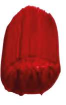 Alizarine cramoisie teint - PR170, PR101, PV23