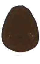 Terre d’ombre brûlée - PBr7