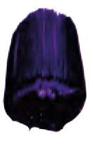 Violet dioxazine - PV23