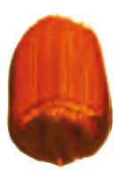 Jaune doré - PO48, PY150