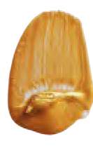 Or iridescent foncé - N/A