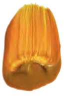 Jaune azo nickel - PY150