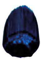 Bleu phtalo nuance vert - PB15:3