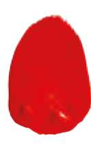 Rouge pyrrole clair - PR255