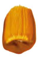 Oxyde jaune transparent - PY42