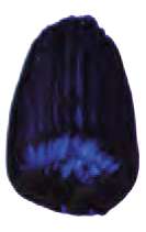 Bleu outremer classique - PB29