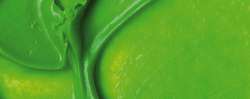 Fluorescent green
