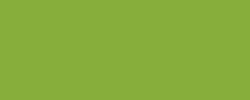 Aquarelle Gansai Kuretake, Grand godet, vert pois