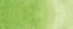Aquarelle Gansai Kuretake, Grand godet, vert mai nacré