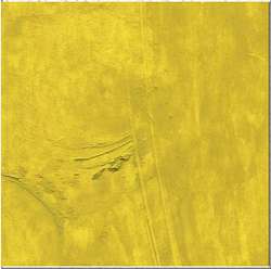 Jaune olive