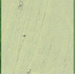 Celadon green