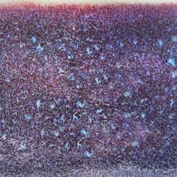 Brume de galaxie
