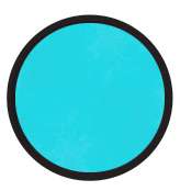 Perruche bleue BG0.2