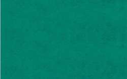 Vert foncé