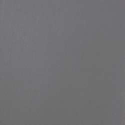 Gris neutre