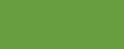 Metallic light green
