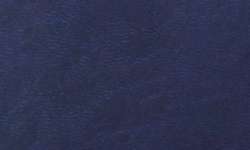 Bleu nuit