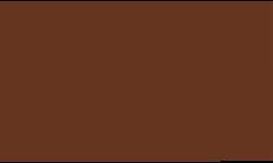 Brun noisette