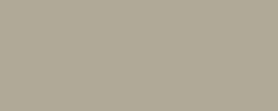Warm grey 2