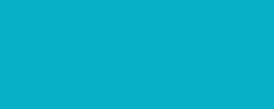 Turquoise moyen