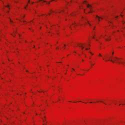 Quinacridone rouge écarlate 30 g - PR 209
