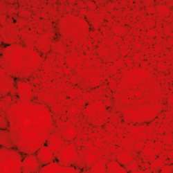 Cadmium pourpre 75 g - PR 108