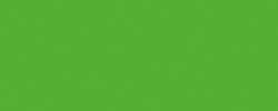 Papier de couleur Folia, A4 - 21 x 29,7 cm, Vert herbe