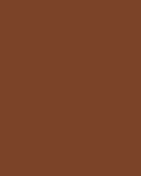 Brun chocolat