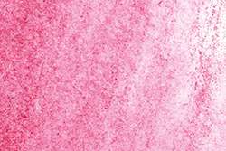 Rose garance