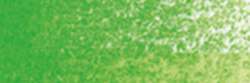 Permanent green n° 1
