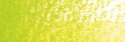 Vert feuille