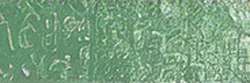 Cactus green