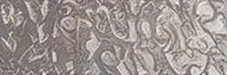Warm grey 5