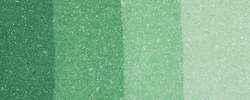 Vert solide