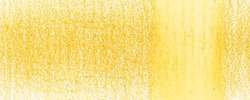 Dandelion 0120