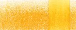 Mangue