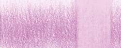 Dewberry 0995
