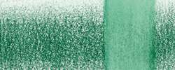 Basilic