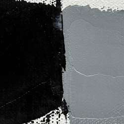 Ivory black
