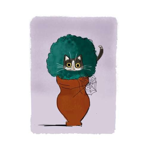 morepic-7